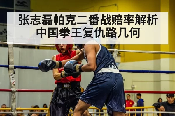 张志磊帕克二番战赔率解析 中国拳王复仇路几何 | MKSports