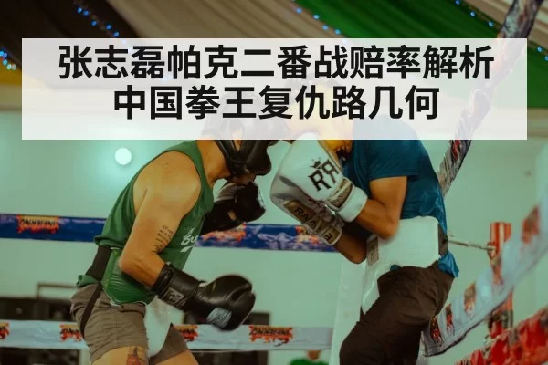 Zhang Zhilei boxing